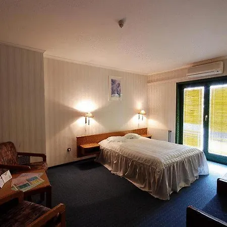 Amadeus Hotel 3*