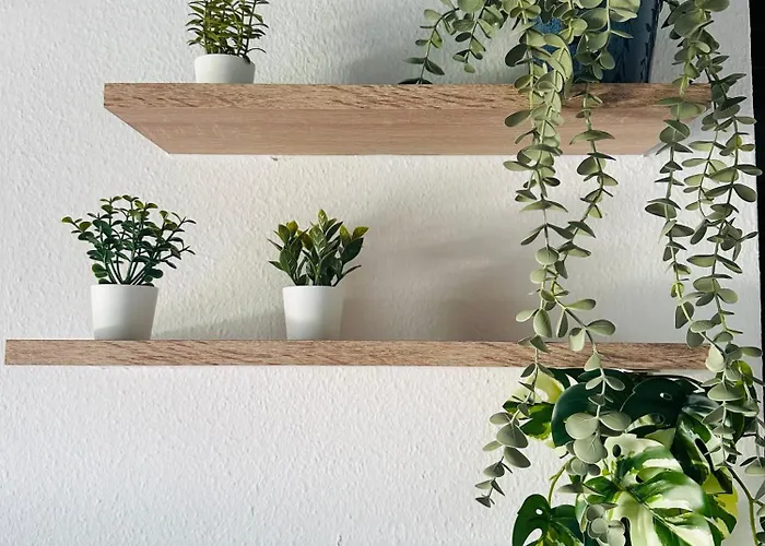 酒店 阿玛迪斯酒店