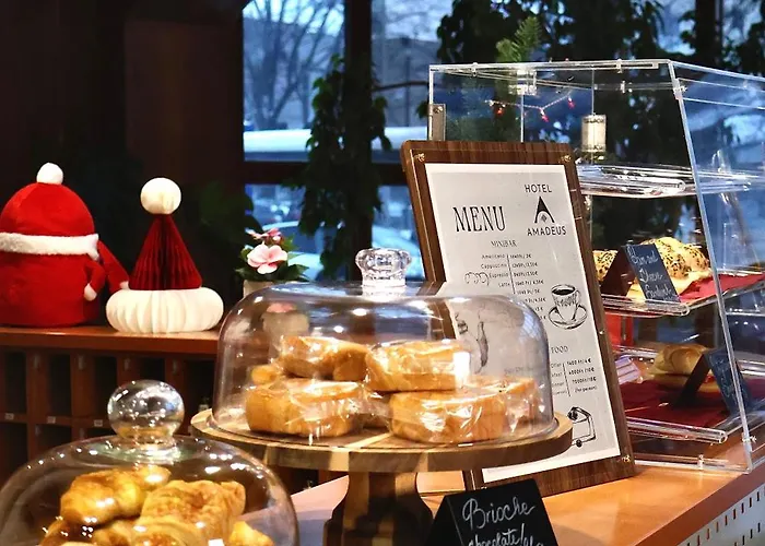 酒店 阿玛迪斯酒店 3*