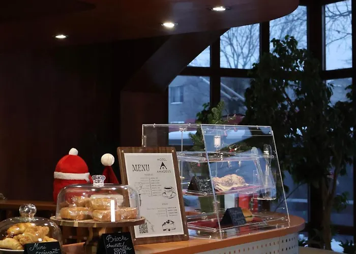 酒店 阿玛迪斯酒店 布达佩斯